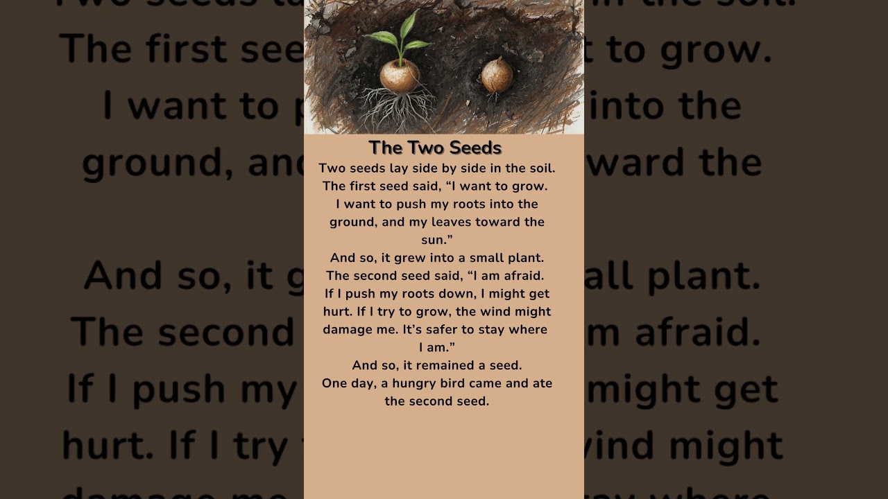 The Two Seeds Learn English #education #english #englishteacher #shortsvideo #shorts