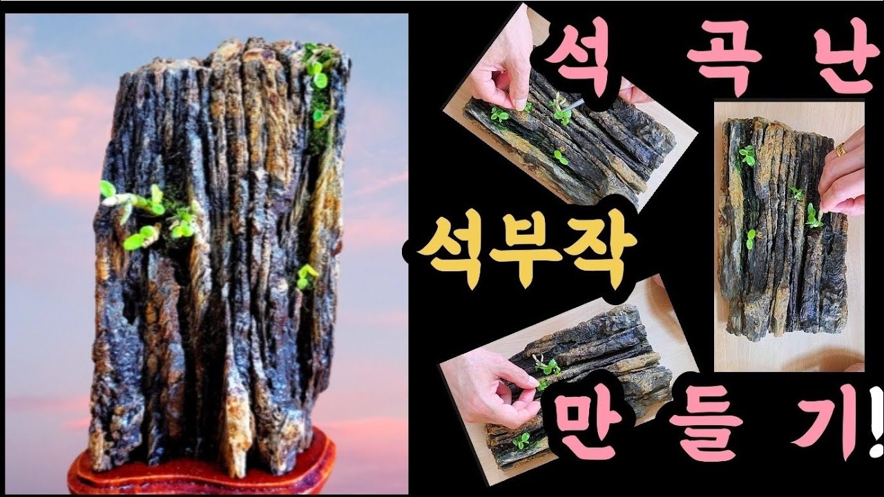 석곡난 석부작 만드는 방법