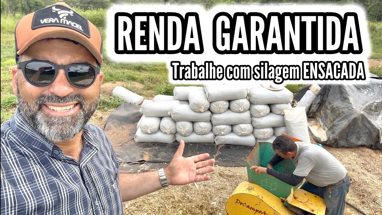 POTENCIALIZE SEUS LUCROS NO S&Iacute;TIO VENDENDO SILAGEM ENSACADA.