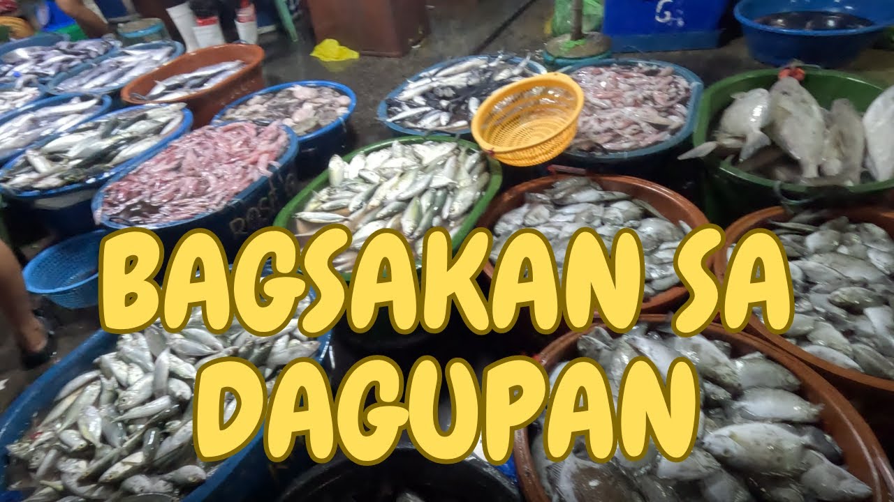 PART 1 OF MALINGAS AND BAGSAKAN IN DAGUPAN PANGASINAN 2024