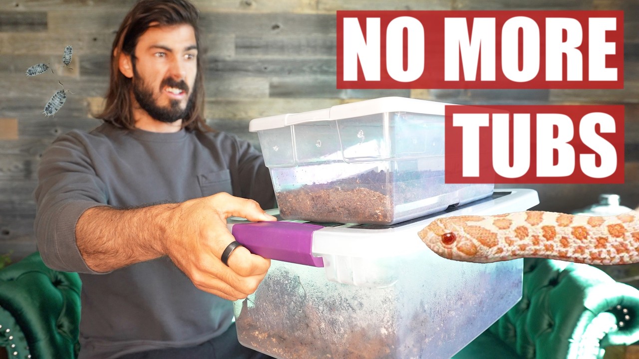 You Won&rsquo;t Believe These $17 Reptile Enclosures!