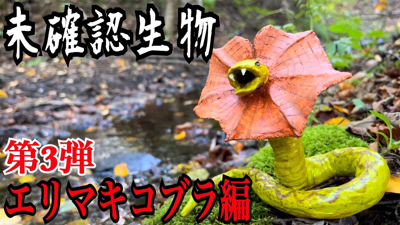 【未確認生物】エリマキコブラ見つけるまで帰れません！！！