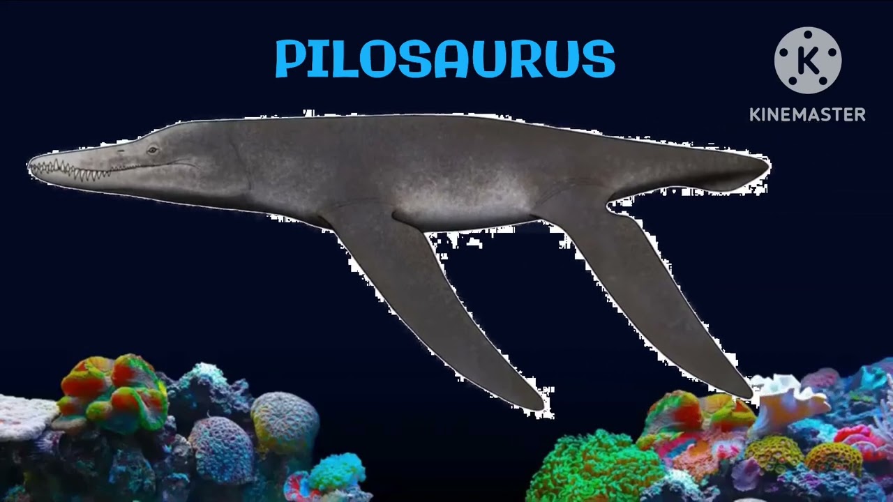 Prehistoric Sea Life 4 - @TheKidsPictureShow (reupload from @PeperoMascots )