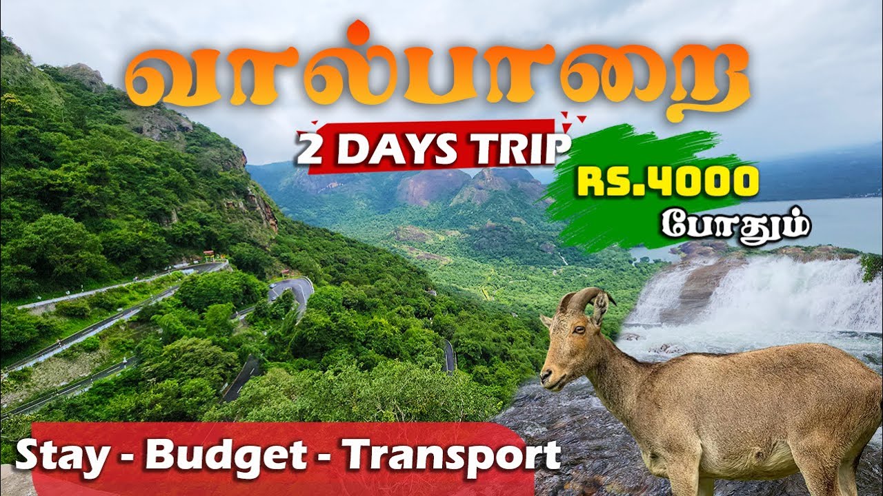 11 Must Visit Places in Valparai | Complete Guide | வால்பாறை சுற்றுலா @DreamSavy