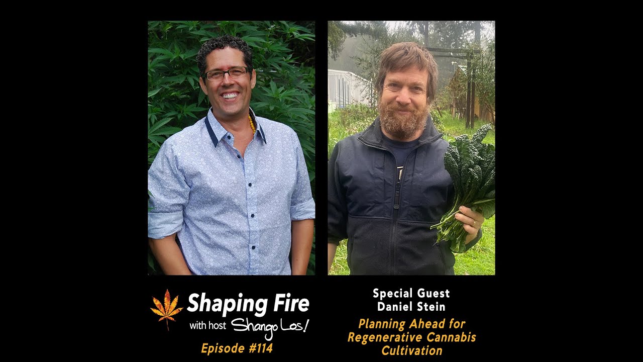 Shaping Fire EP114 - Planning Ahead for Regenerative Cannabis Cultivation with guest Daniel Stein
