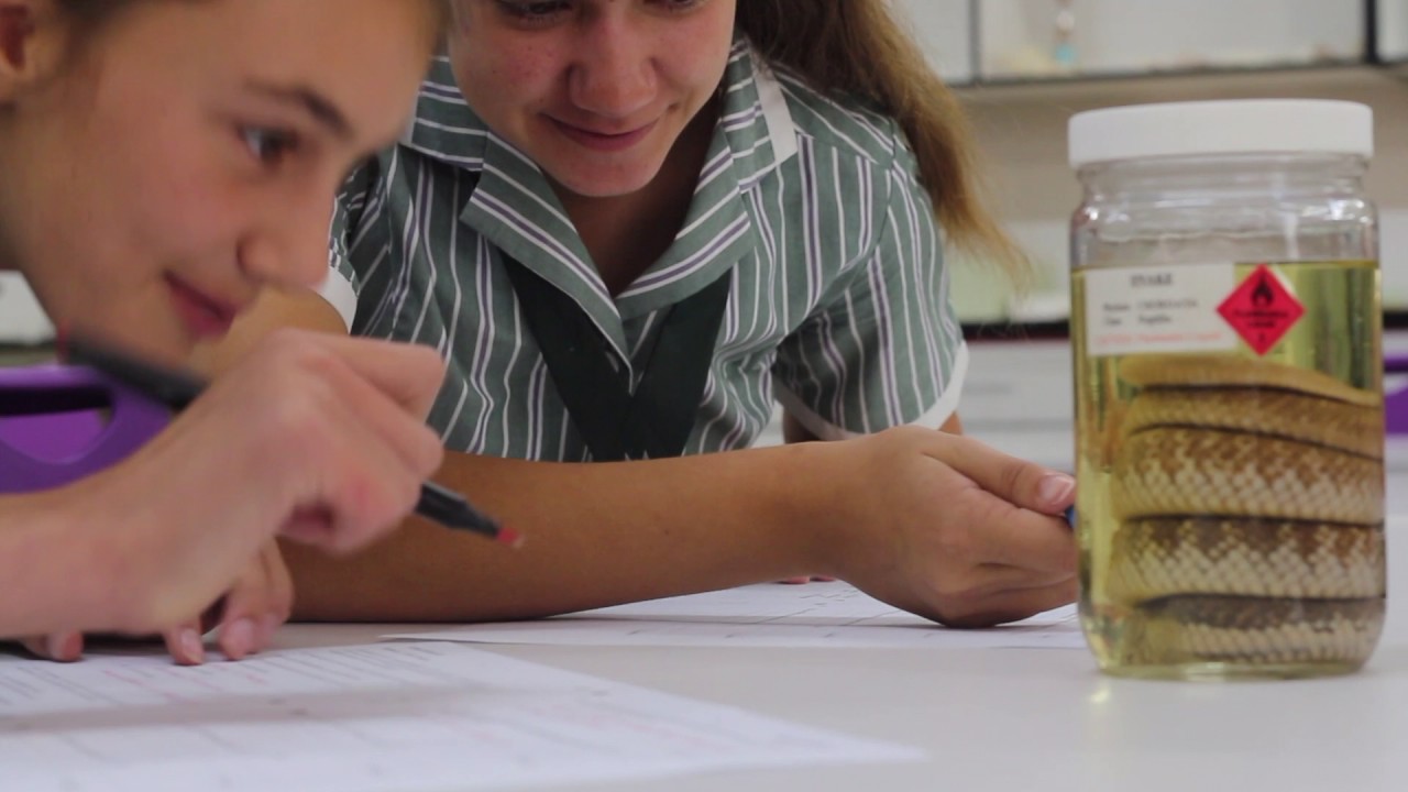 Circle of Success | Yvonne Palmer Biological Sciences Laboratory