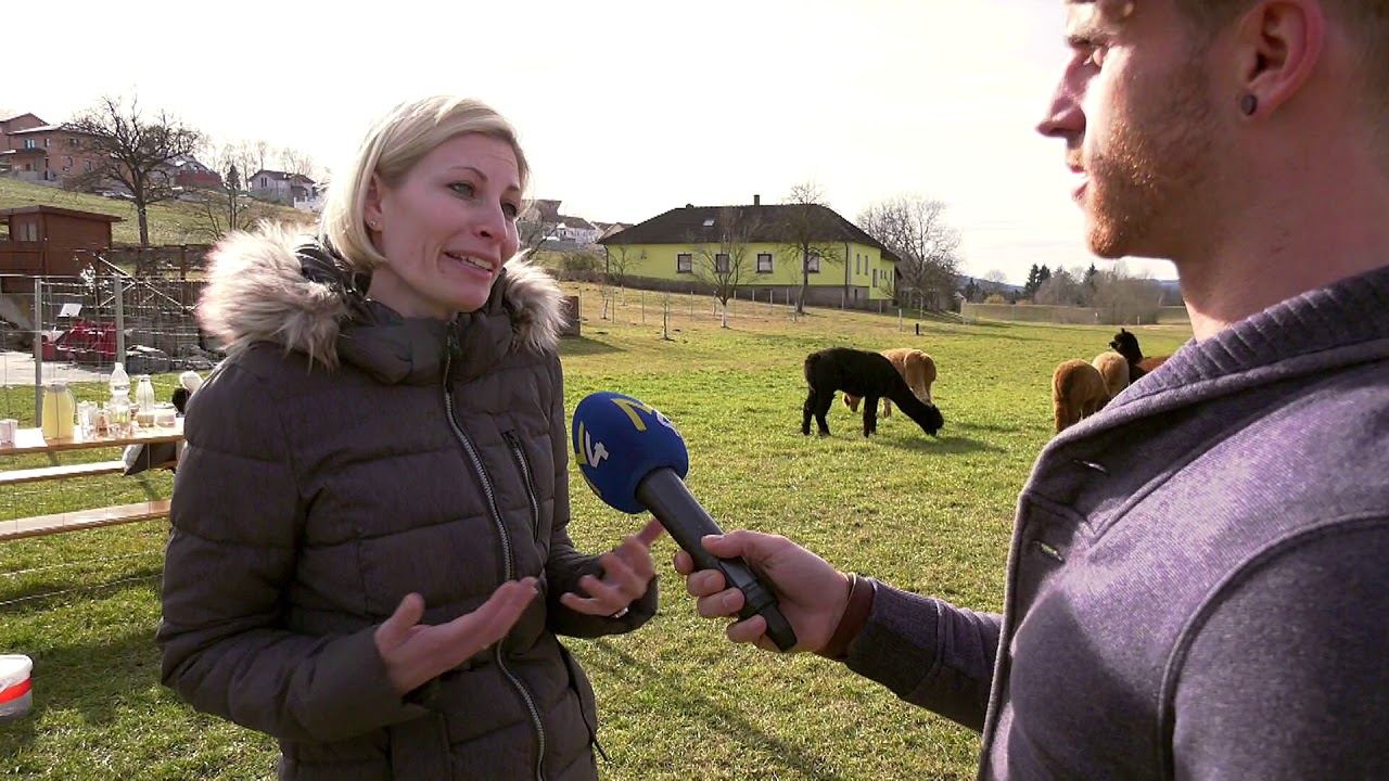 Uwe kuschelt mit den Urbach Alpakas