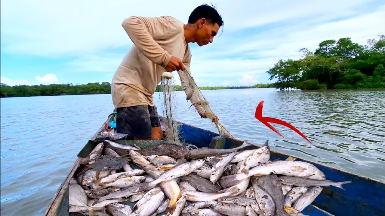 Pescamos COM rede E ispinhel PEGAMOS Bastante PEIXE  🐟 🐟