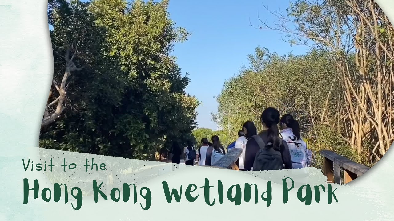 Visit to the Hong Kong Wetland Park