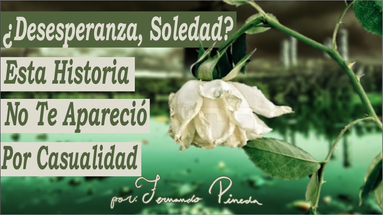 La Blanca Rosa Y El Putrefacto Lago - Reflexiones Para Ser Feliz