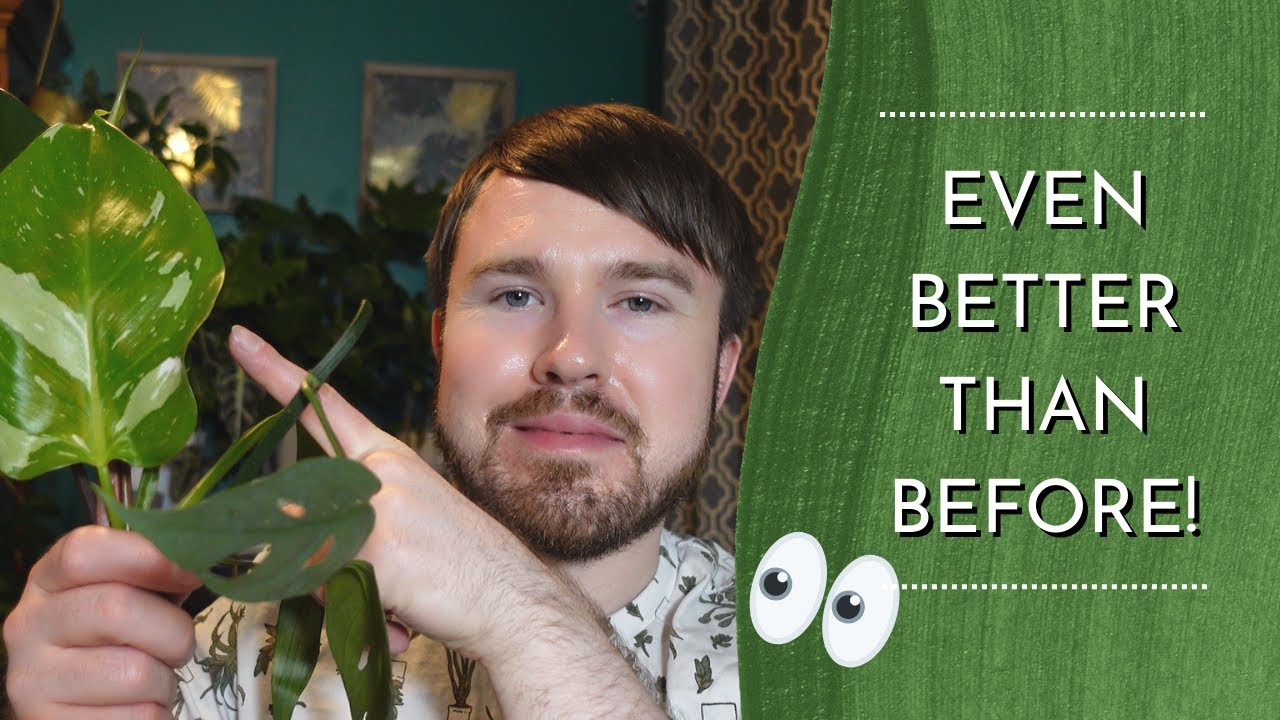 Mystery Plant Box Unboxing (What Do You Think?)