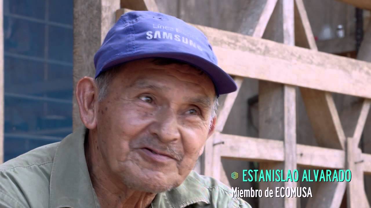 ¿Sabes qué es la Shiringa?