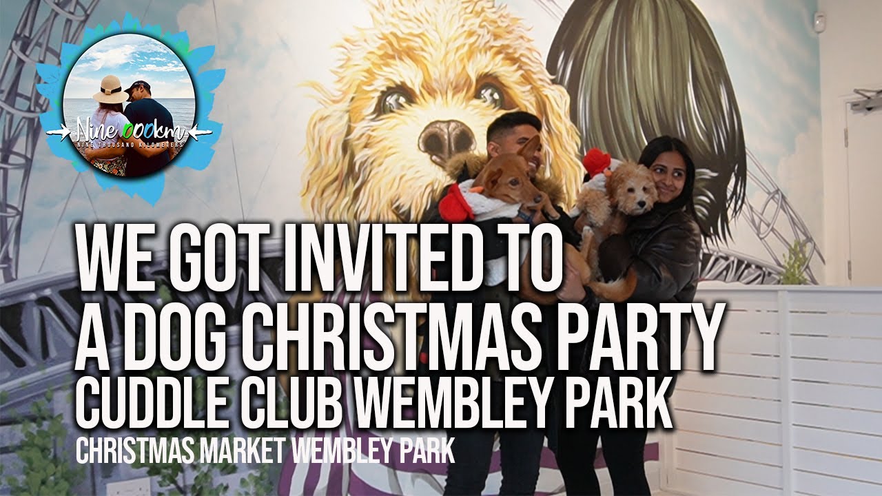 We got invited to a DOG CHRISTMAS PARTY | Cuddle Club Wembley park | Couple vlog with dogs