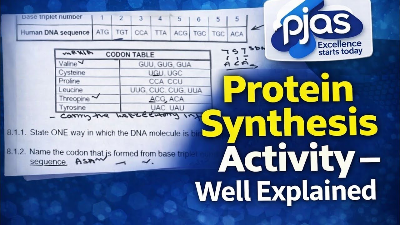 Protein synthesis activity g12 well explained 🧬🧬🧬