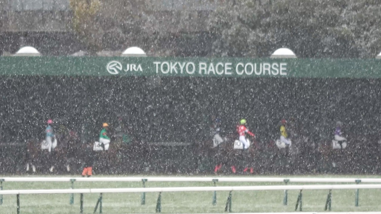 【積雪】で8Rから中止 横山典弘の3000勝は明日へ持ち越し 現地映像 東京競馬場