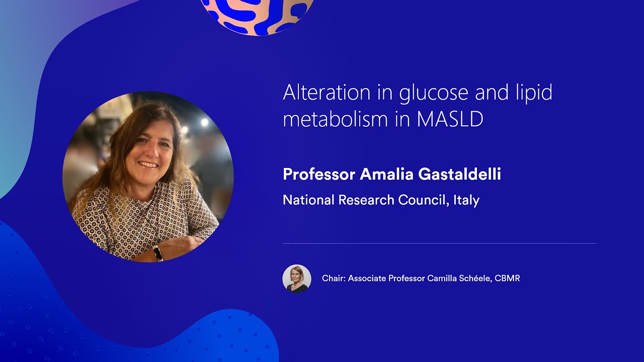 Alteration in glucose and lipid metabolism in MASLD |  Professor Amalia Gastaldelli