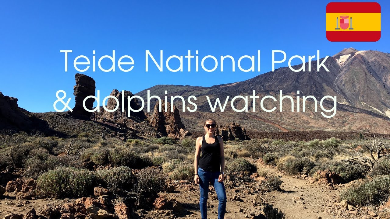 Tenerife Teide national park visit and dolphins watching