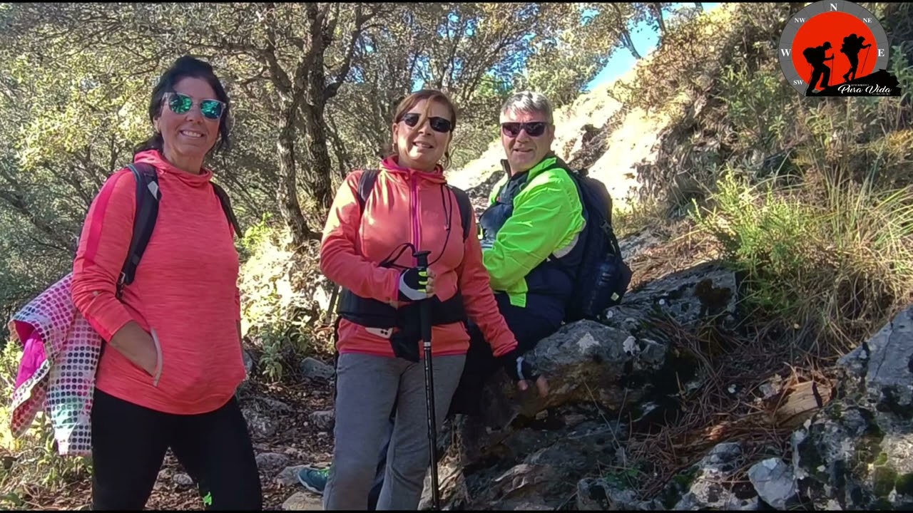 El Pinsapar   de  Grazalema