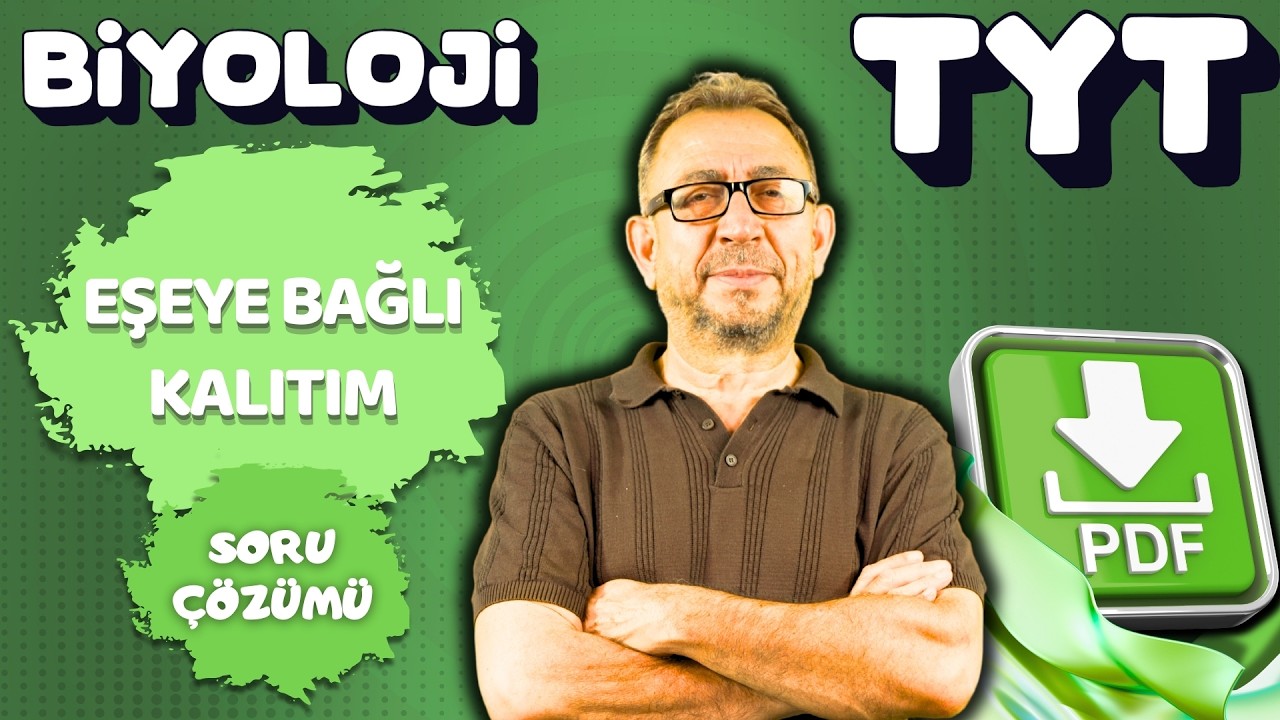 TYT-EŞEYE BAĞLI KATILIM- SORU