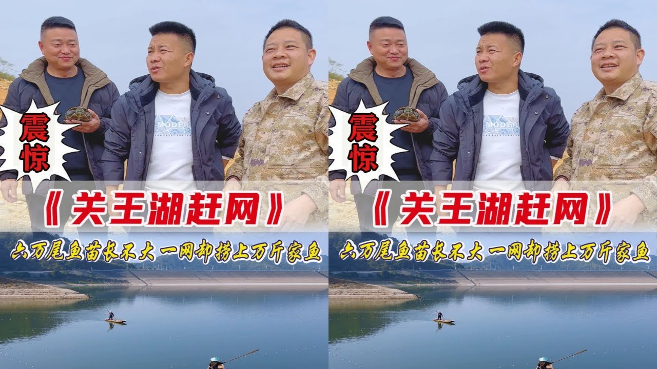 六万尾鱼苗为何长不大？强子速召赶网队一探究竟！