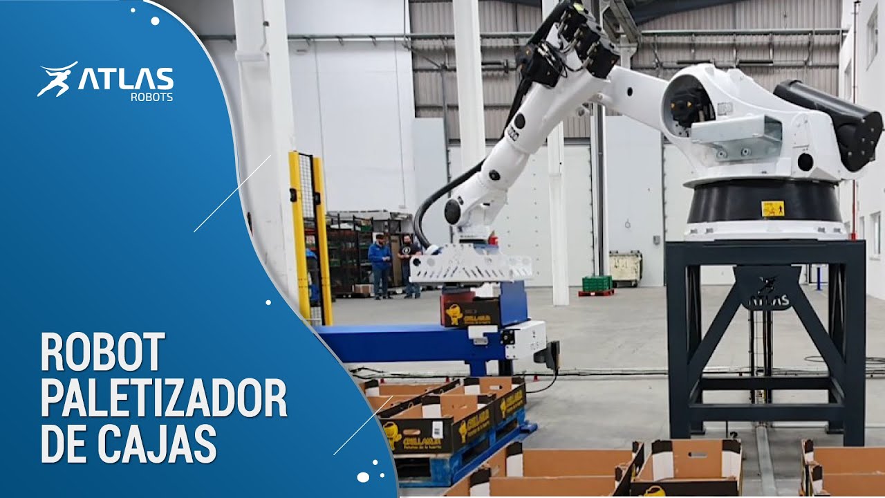 Paletizaci&oacute;n autom&aacute;tica de cajas - robot que paletiza cuatro palets a la vez