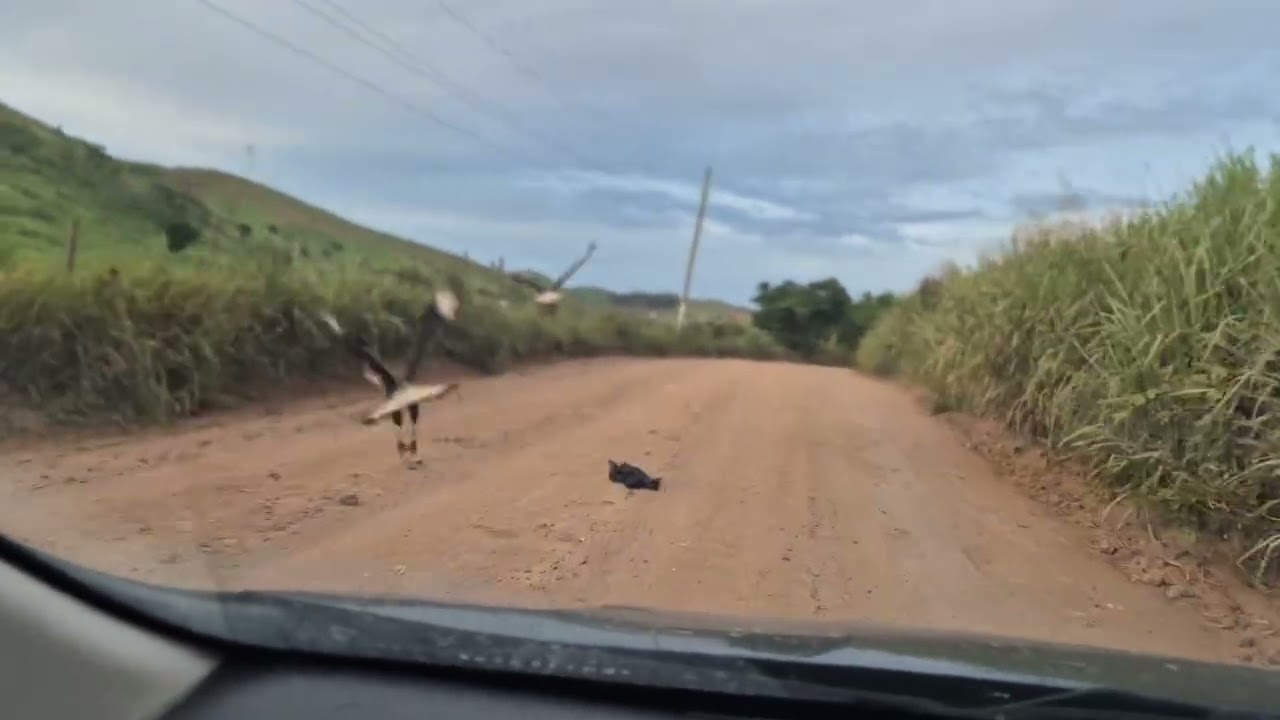 Com Deus a frente tudo vai muito bem!              #agro #Deus #sucodetox