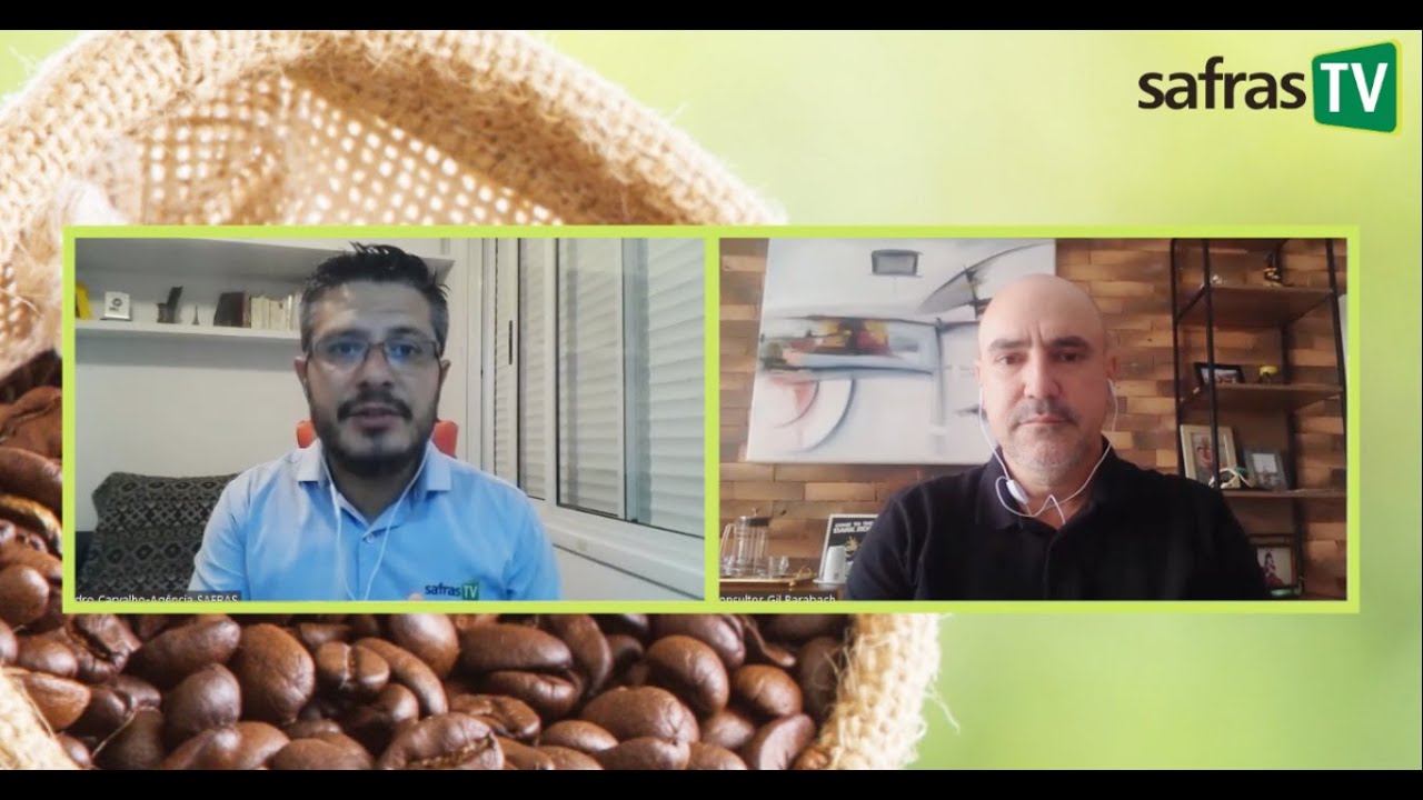 Por que o café está caindo tanto em NY? – Conversa com o Analista