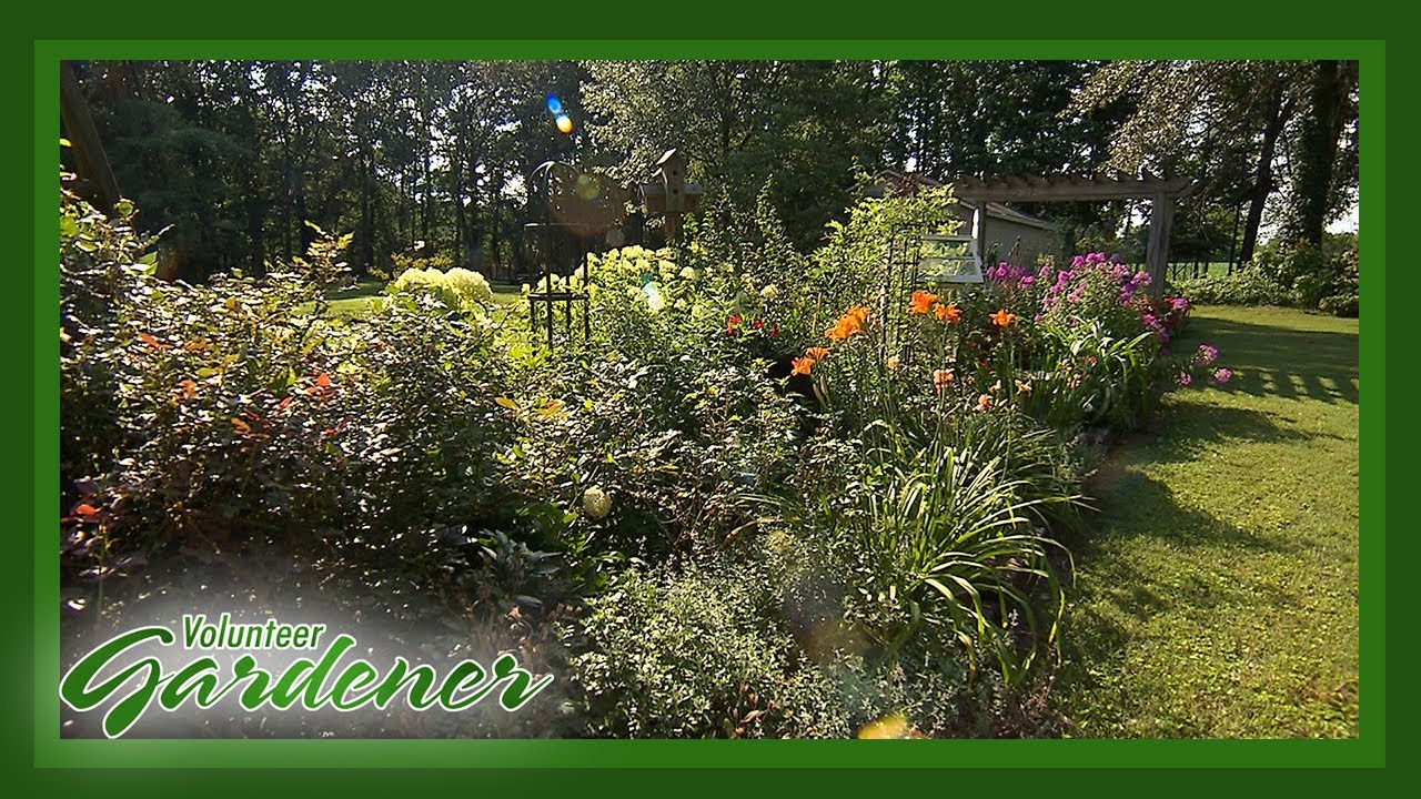 A Landscape with Visual Impact | Volunteer Gardener