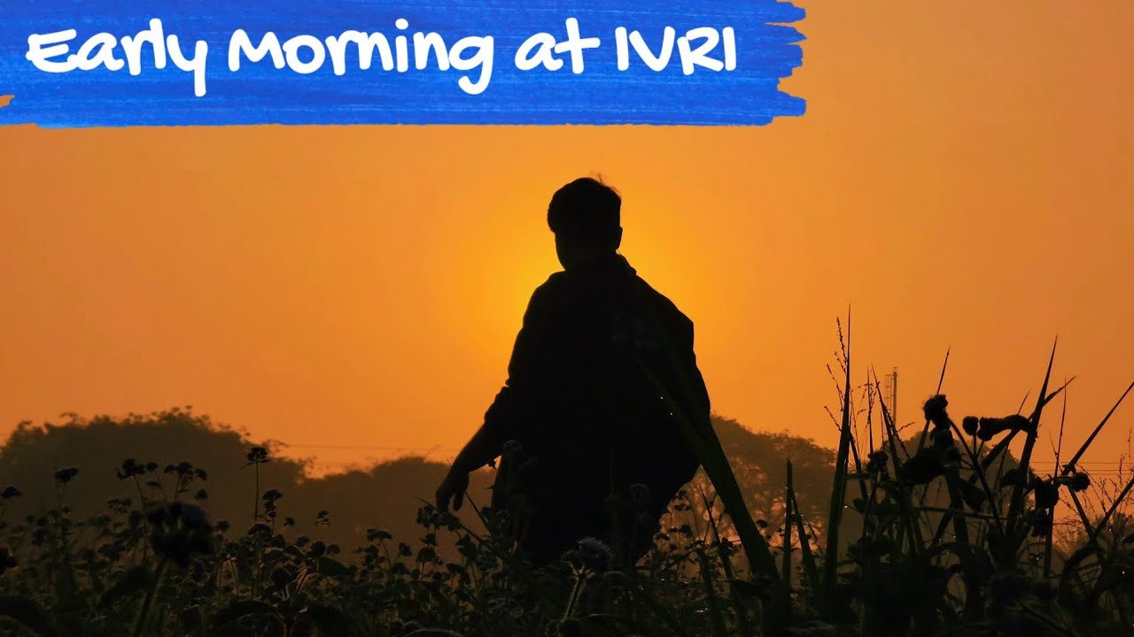 Early morning at IVRI Bareilly #ivri