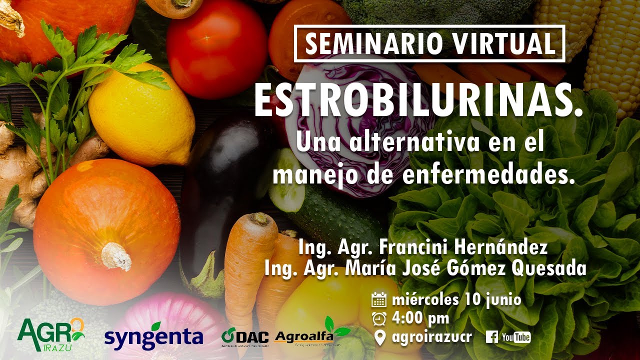ESTROBILURINAS - Una alternativa en el manejo de enfermedades