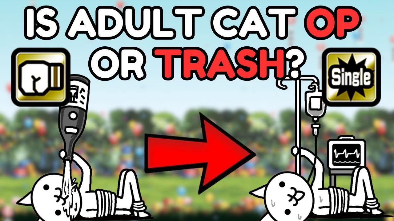 IS ADULT CAT OP OR TRASH? (The Battle Cats)