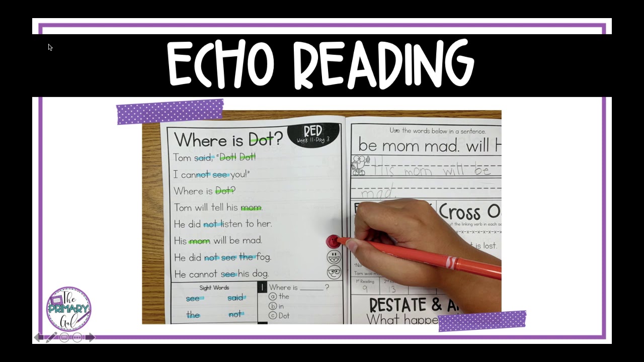 7 Routines for Special Education Reading Groups