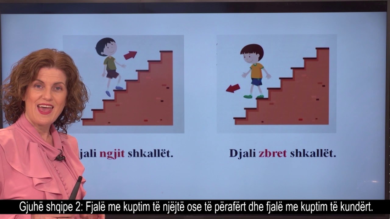 Gjuhë shqipe 2 - Fjalë me kuptim të njëjtë ose të përafërt dhe fjalë me kuptim të kundërt.