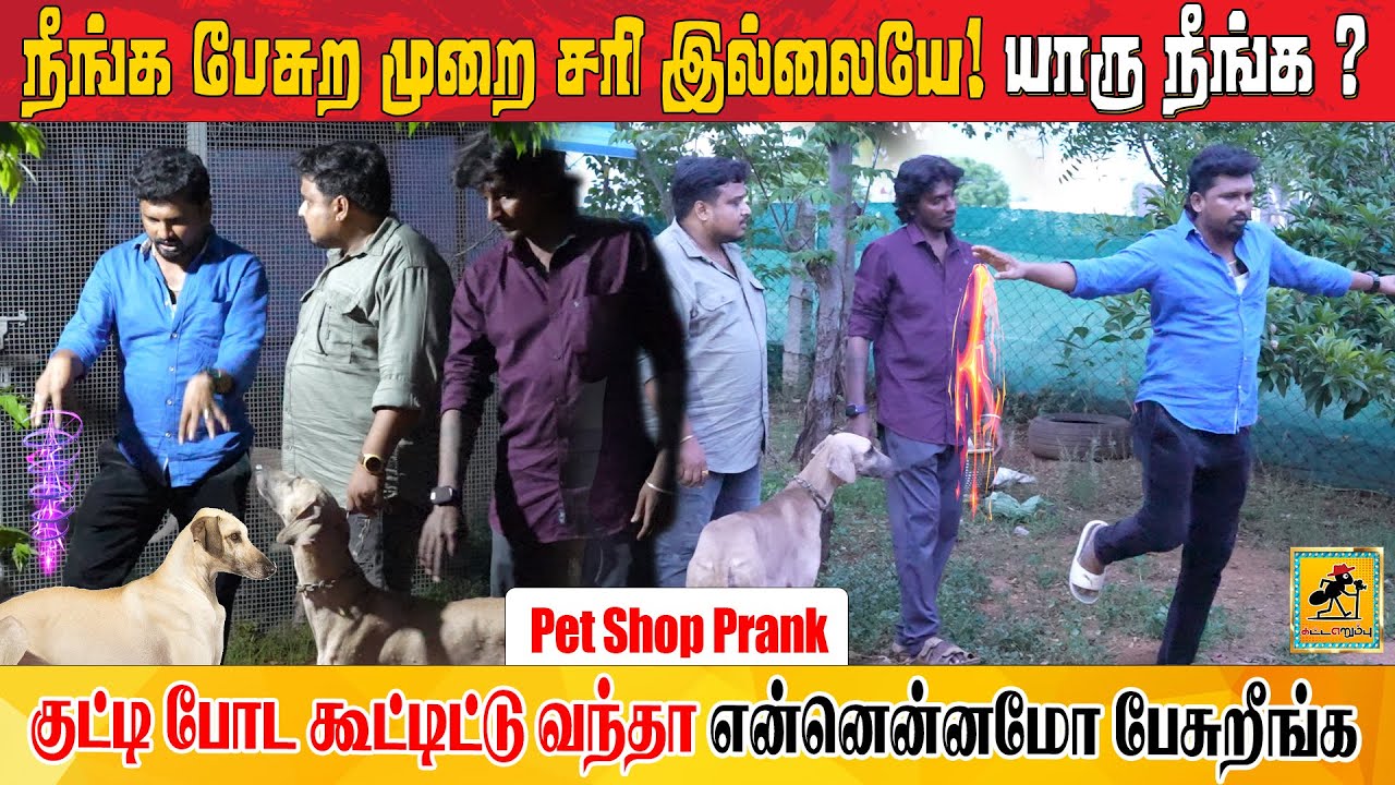 உங்க பேச்சு சரியில்லை 🤨 Pet Shop Prank | Katta Erumbu