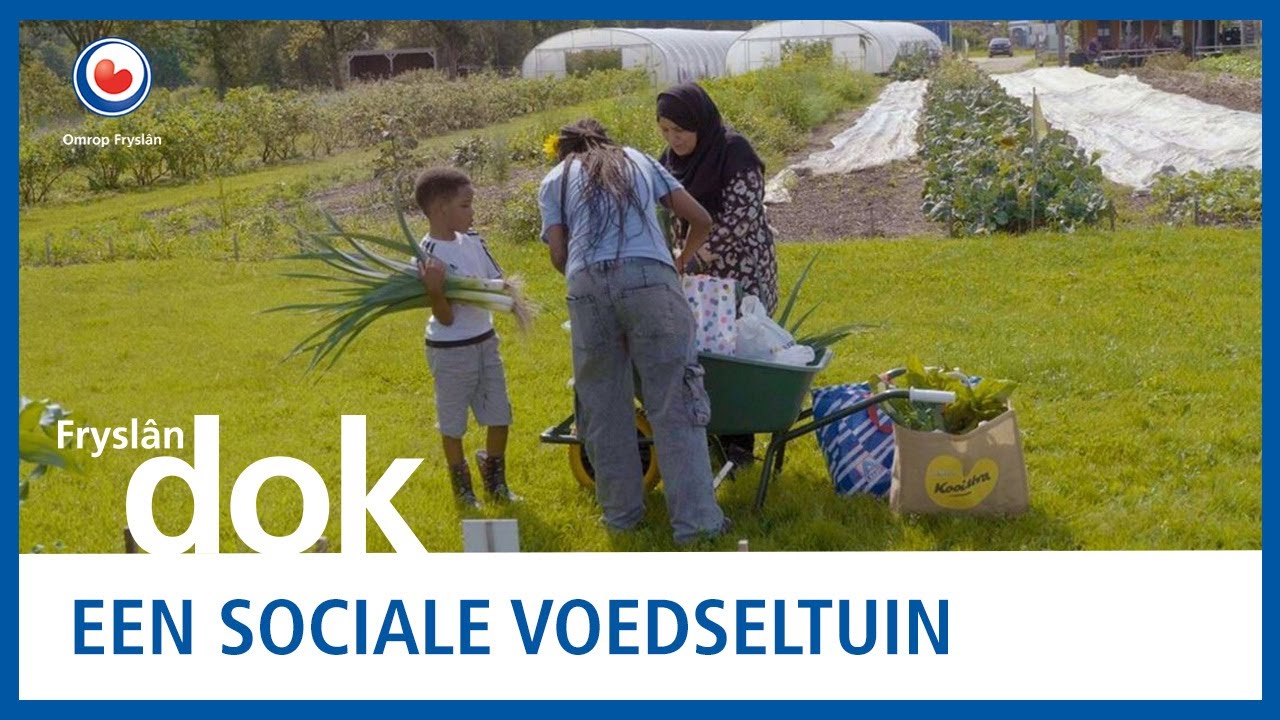Een paradijsje in Nieuwehorne | FRYSLANDOK