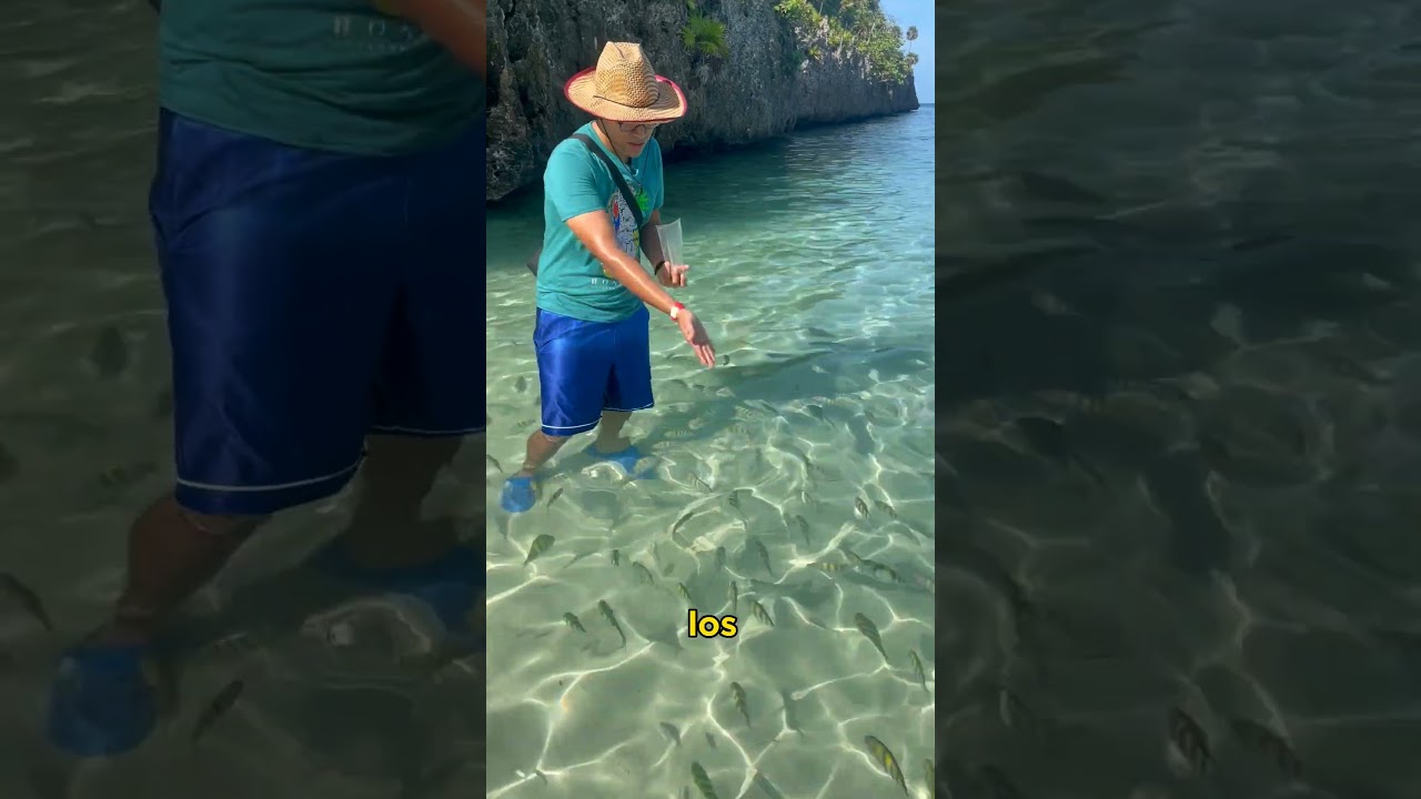¿Cómo llegar a Roatán Islas de la Bahía? 
