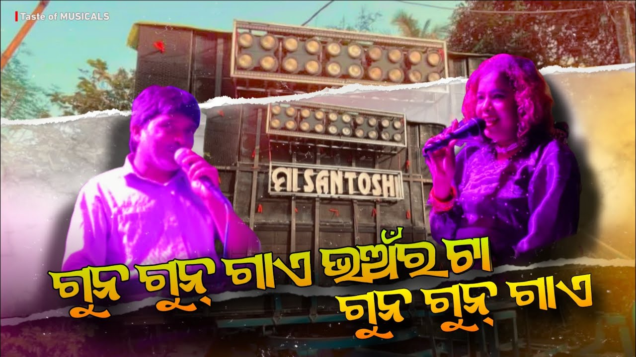 ଗୁନ ଗୁନ୍ ଗାଏ ଭଅଁର || Feel The Clarity || Maa Santoshi Musical || 