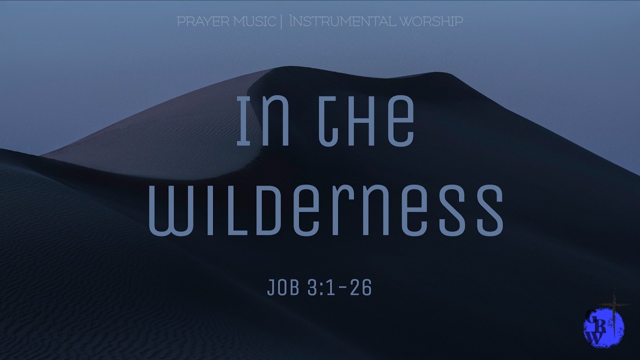 30 min Instrumental Worship | CCM Playlist | In the Wilderness | 욥기 3장 | 30분 기도음악