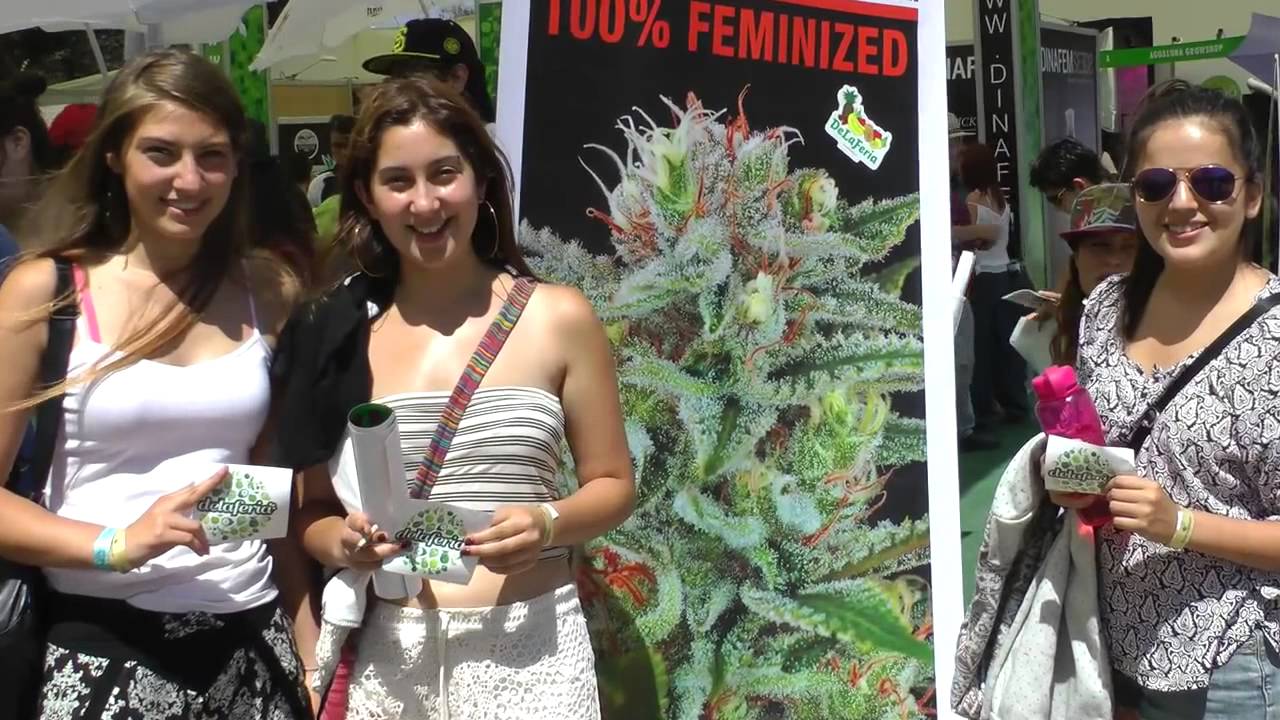 Delaferia   EXPOWEED 2013   Santiago De Chile