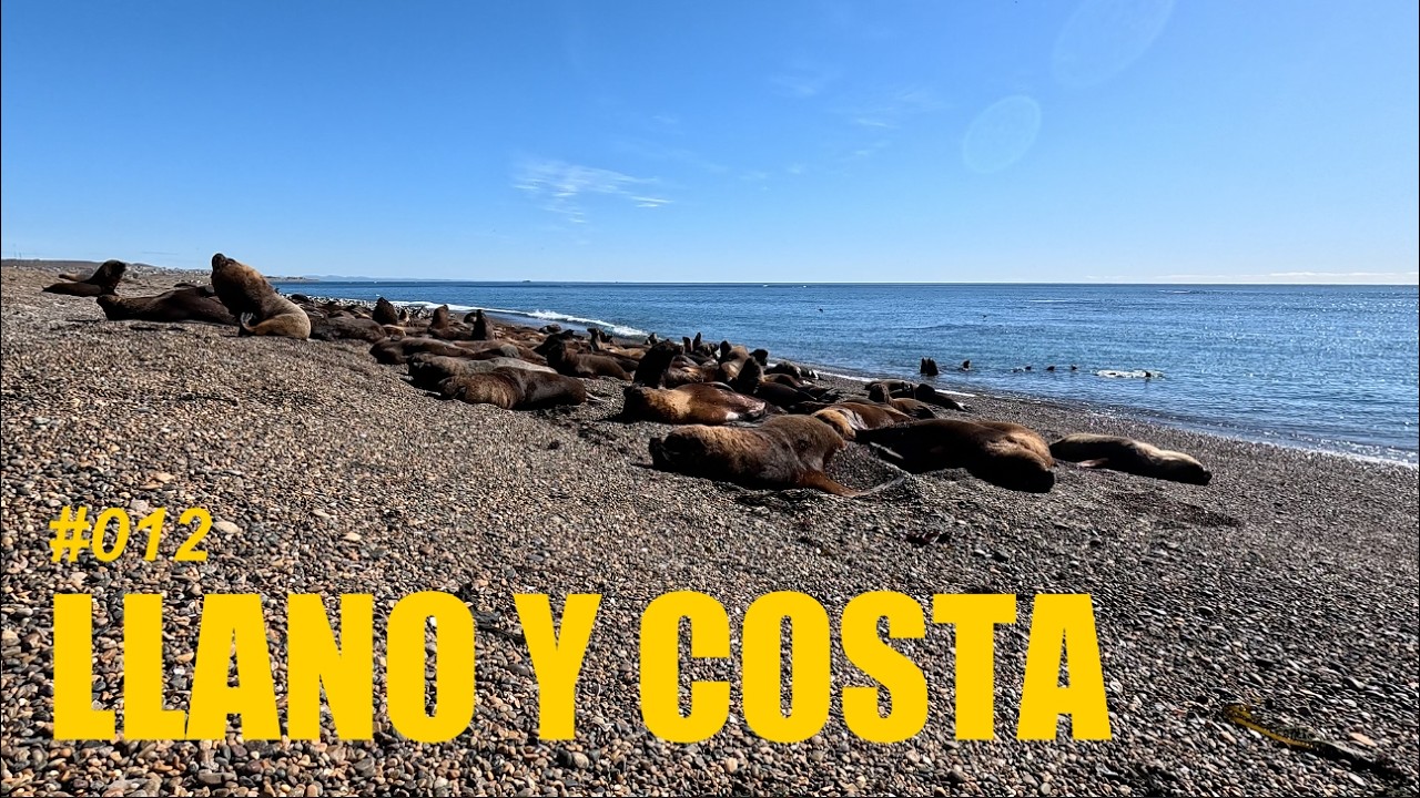 Llano y Costa - El Canal del Micel #012