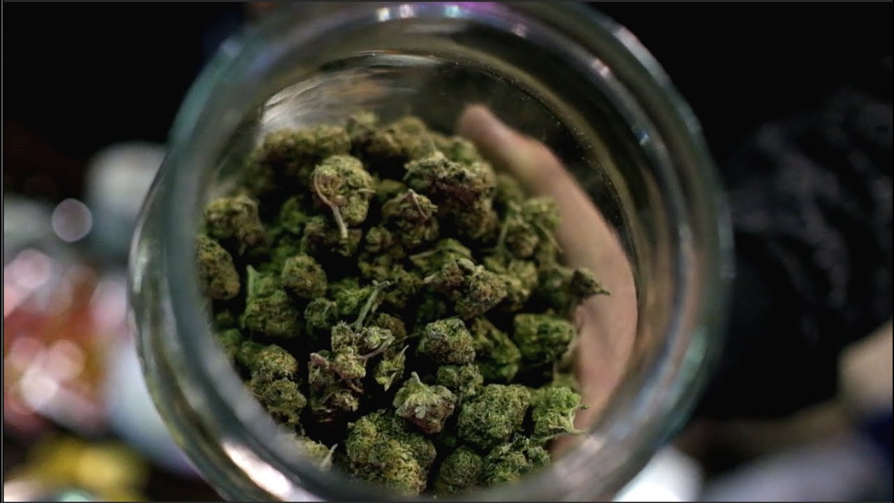 2016 SoCal Medical Cannabis Cup: Week 1 Highlights