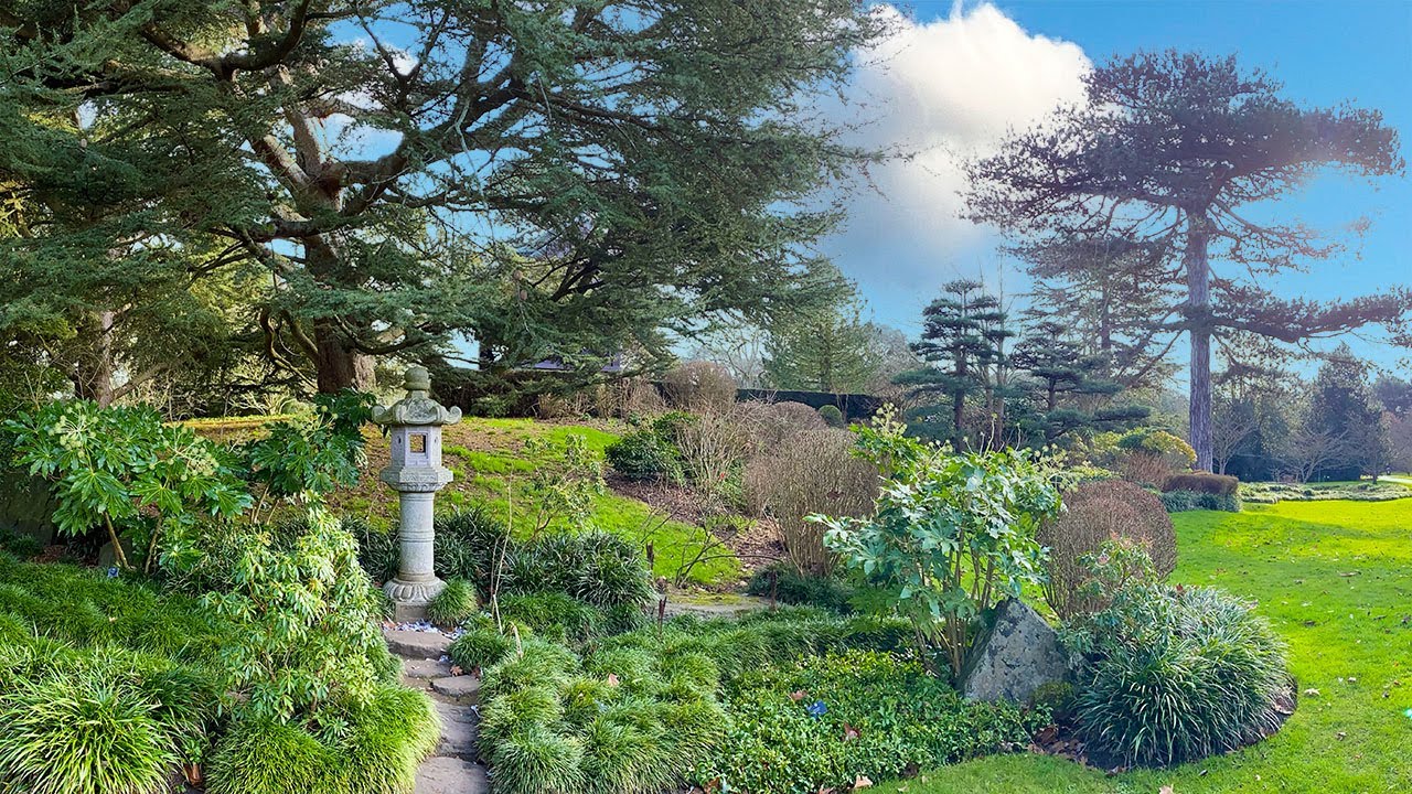 How Kew created a Japanese Tea Garden: Kew’s Peace Garden
