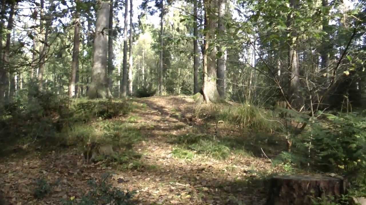 Hünengrab - Hügelgrab