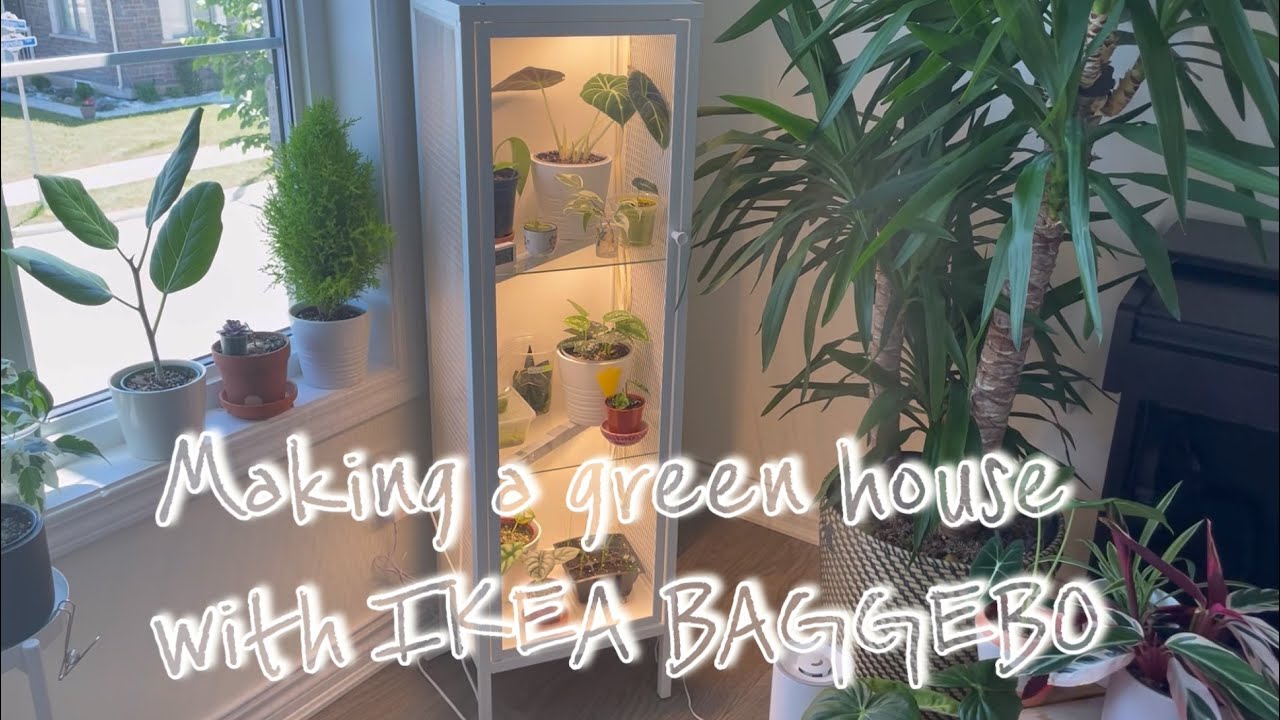 IKEA BAGGEBO greenhouse & Moonshine