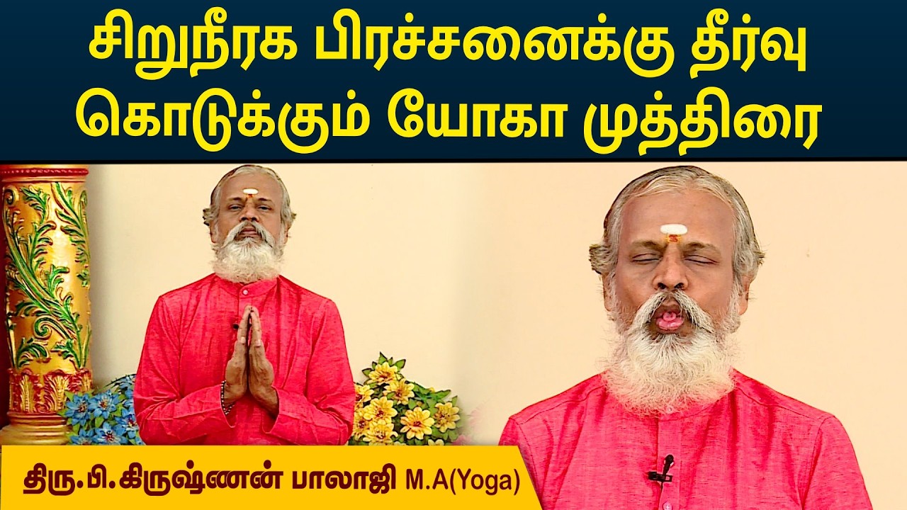 சிறுநீரக பிரச்சனைக்கு தீர்வு கொடுக்கும் யோகா முத்திரை | Krishnan Balaji | MEGA TV |