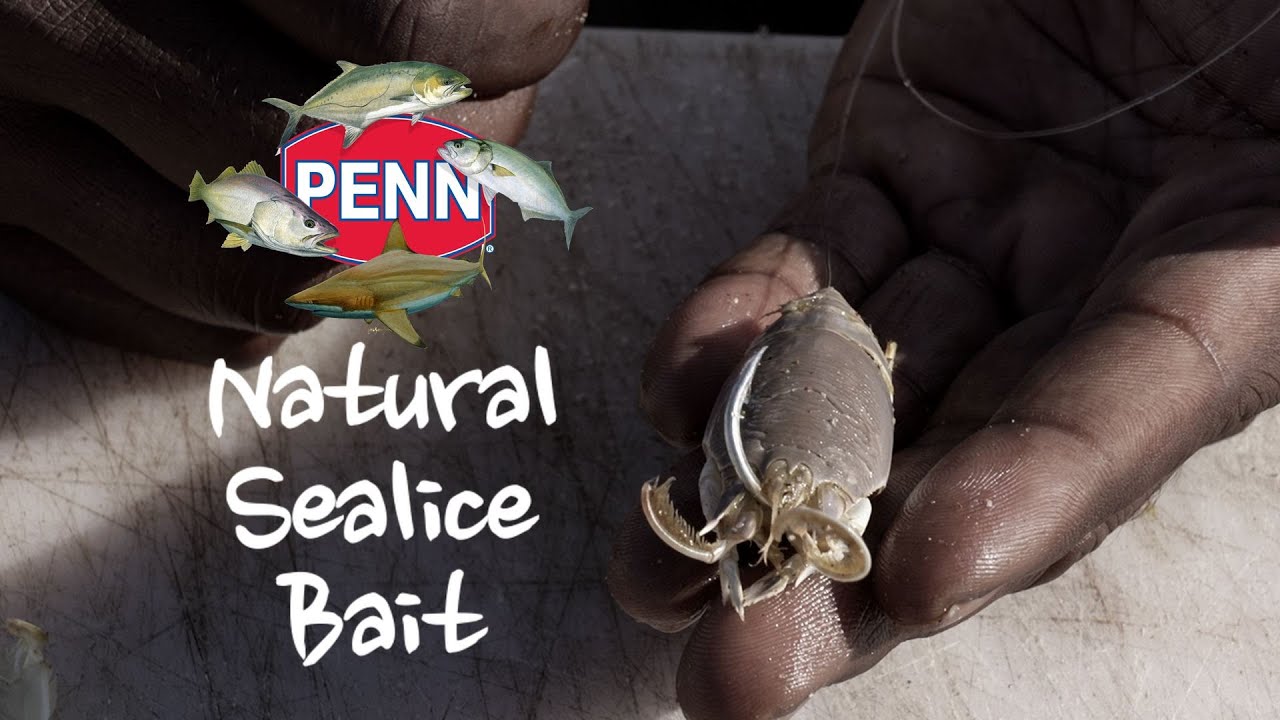 Natural Single Sealice Bait