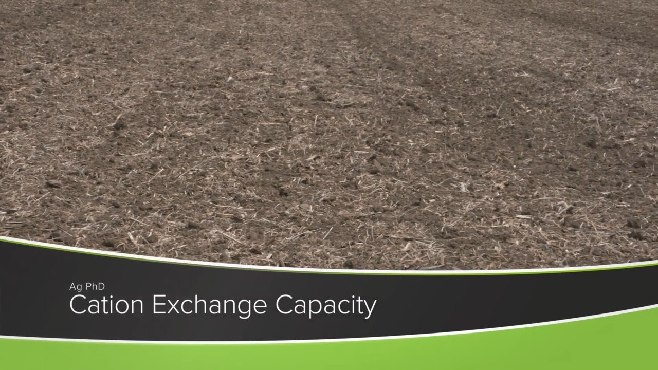 Cation Exchange Capacity (From Ag PhD Show #1172 - Air Date 9-20-20)