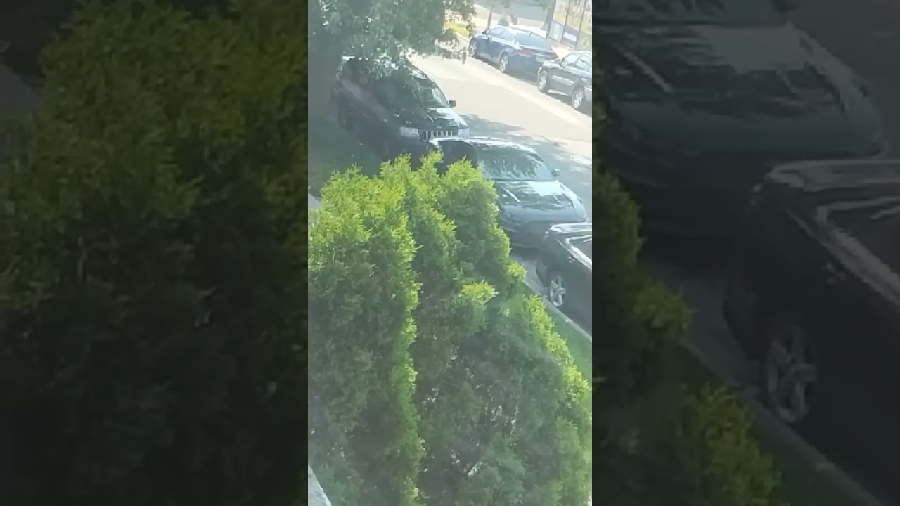 fear 😨 tactics community gang staking on command signal high tech surveillance monitor very aware 🧭📡