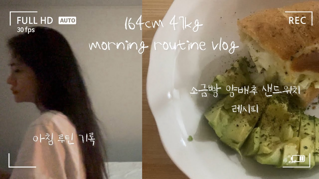164cm 47kg 아침 루틴, 소금빵 양배추 샌드위치 만들기 vlog