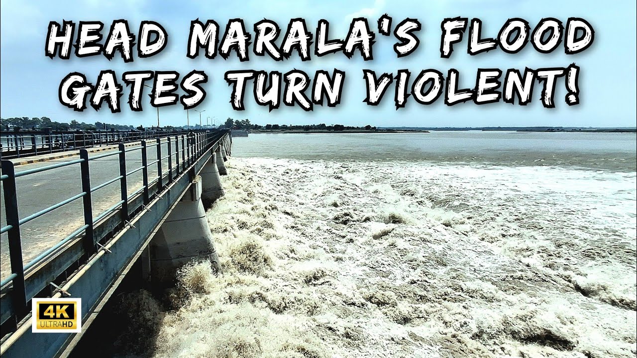 Head Marala Chenab River Water level Update | Marala Ravi Link Canal & River Flood Gates Opening